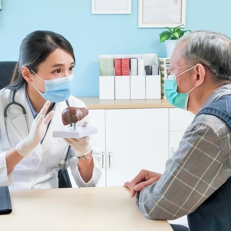 A doctor holding a model of a liver talking to an elderly patient